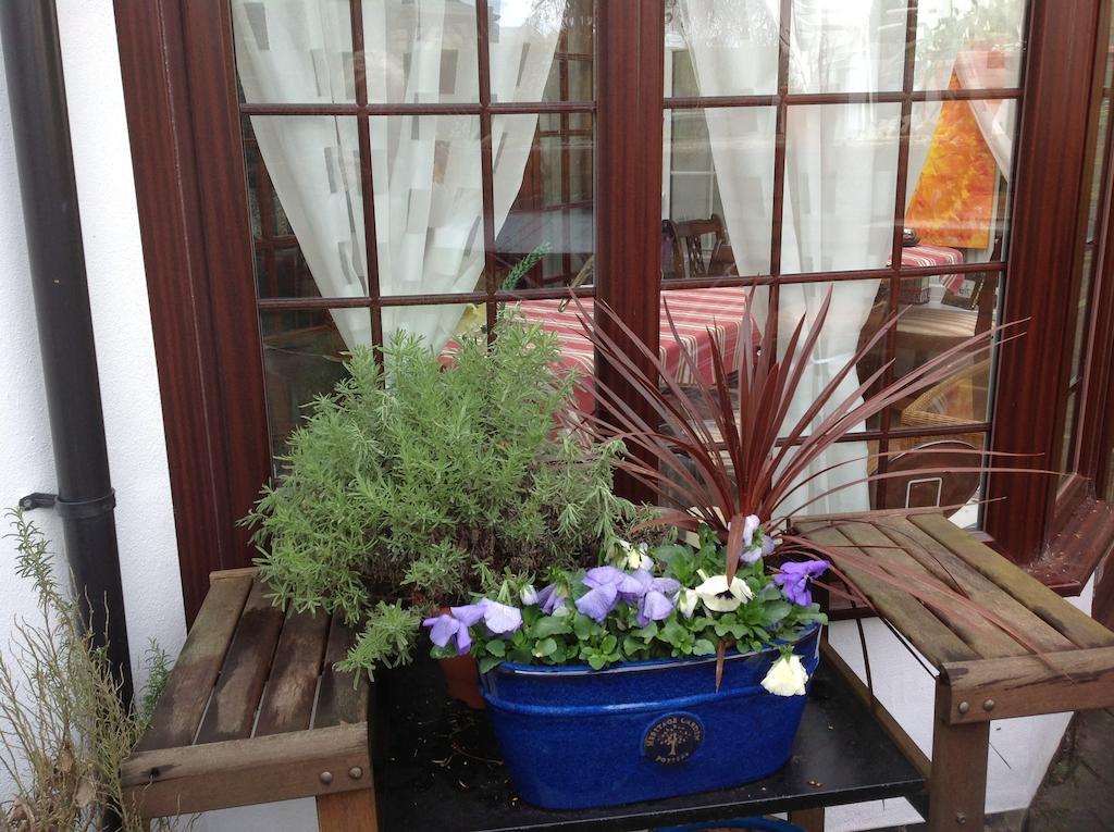 The Laurels Bed And Breakfast Cardiff Extérieur photo