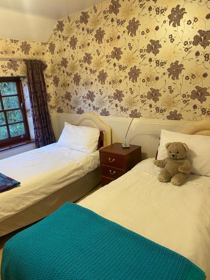 The Laurels Bed And Breakfast Cardiff Extérieur photo